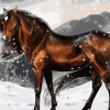 Brown Horse Animals Paint By Numbers