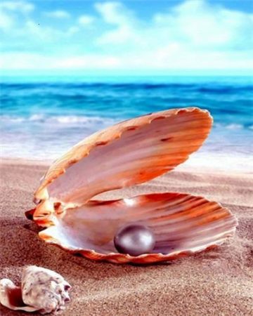 Pearls on the Beach Seascape Paint By Numbers