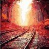Railway in the maple forest Landscape Paint By Numbers