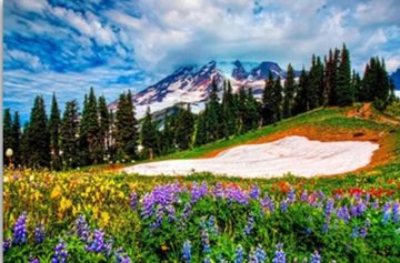 Ice In The Spring Landscape Paint By Numbers