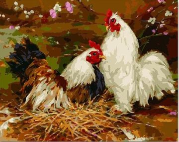 Two Chickens Birds Paint By Numbers