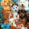 Cute Puppies paint by numbers