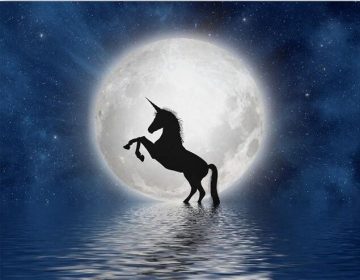 Unicorn Full Moon Animals Paint By Numbers