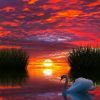 Sunset Reflection on Lake Landscape Paint By Numbers