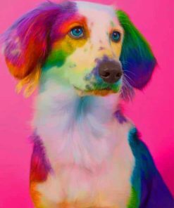 Rainbow Dog paint by numbers