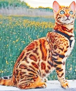 Bengal Cat paint by numbers