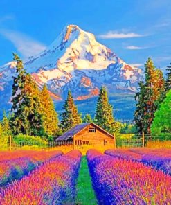 Colorful Fields And Mountains paint by numbers