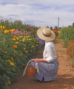 Woman With Hat in Farm paint by number