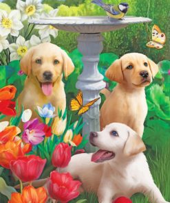 labradors in garden paint by numbers