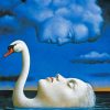 Swan Woman And Cloud Man Paint by numbers