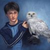 harry-potter-and-his-white-owl-paint-by-number