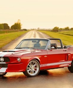 vintage-car-ford-1967-shelby-gt500-paint-by-number