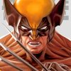 wolverine-portrait-paint-by-numbers