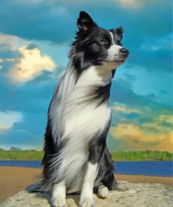 aesthetic-border-collie-dog-paint-by-number