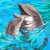 dolphins-paint-by-numbers