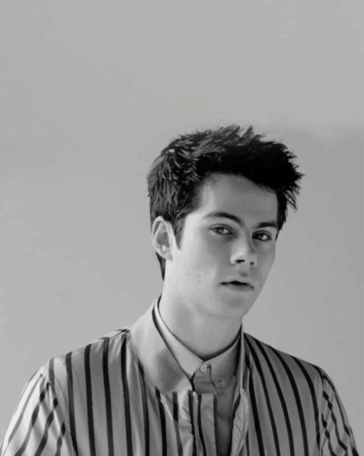 monochrome-dylan-o-brien-paint-by-number