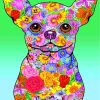 Floral Chihuahua Paint by numbers