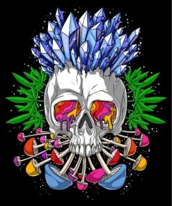 psychedelic skull-paint-by-numbers