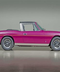 purple-triumph-stag-paint-by-numbers