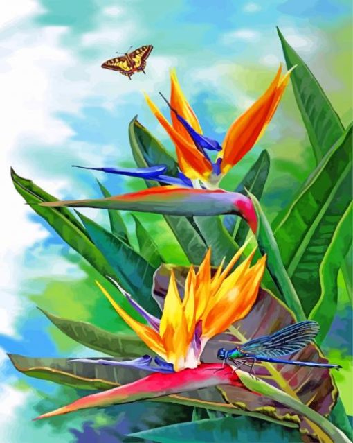 Bird Of Paradise And Butterfly Paint by numbers