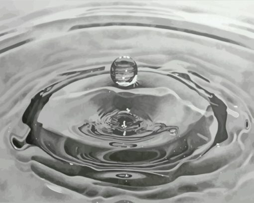 Black-and-White-realistic-Water-Drop-paint-by-numbers