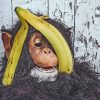 Chimpanzee-With-Banana-paint-by-numbers