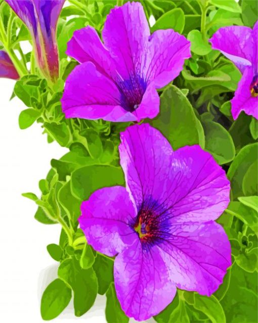 Purple Petunia Paint by numbers