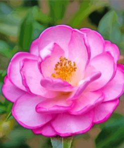 beautiful-camellia-paint-by-numbers