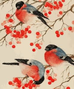 Bullfinch Birds Paint by numbers