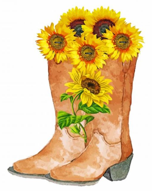 cowboy-boots-with-flowers-paint-by-numbers