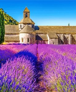 Lavender Field Provence Paint by numbers