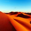 Africa Kalahari Desert Paint By Number