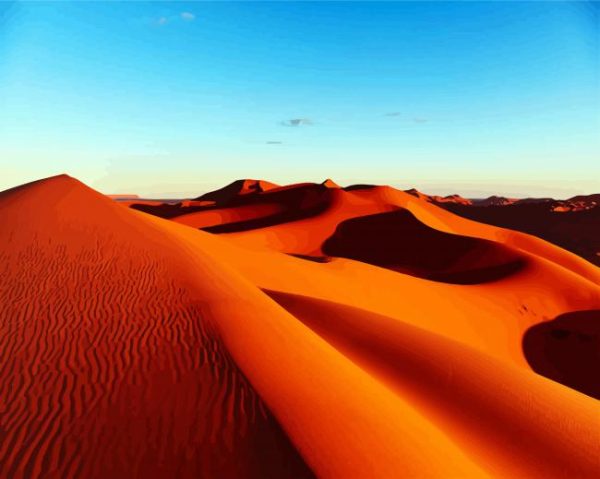 Africa Kalahari Desert Paint By Number