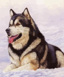 Alaskan Malamute Paint By Number