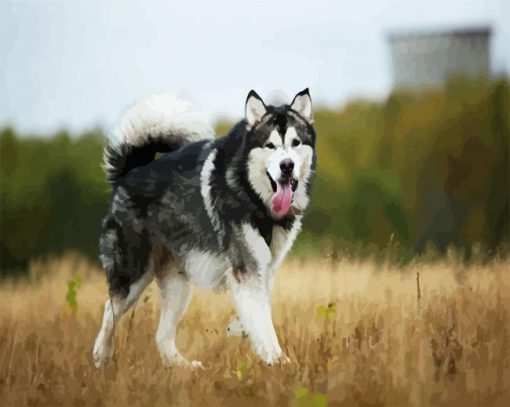 Alaskan Malamute Puppies Paint By Number