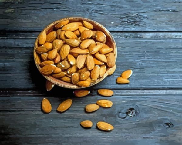 Almond Bowl paint by numbers