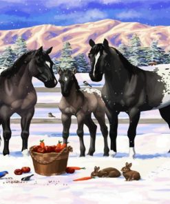 Appaloosa Horses in Snow paint by numbers