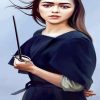 Arya Stark Game Of Thrones paint by numbers