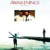 Awakening Movie Poster Paint By Number