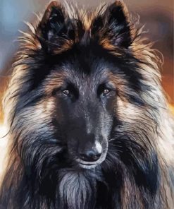 Belgian Tervuren Dog paint by numbers