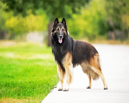 Belgian Tervuren paint by numbers