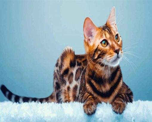 Bengal Cat Animal paint by numbers