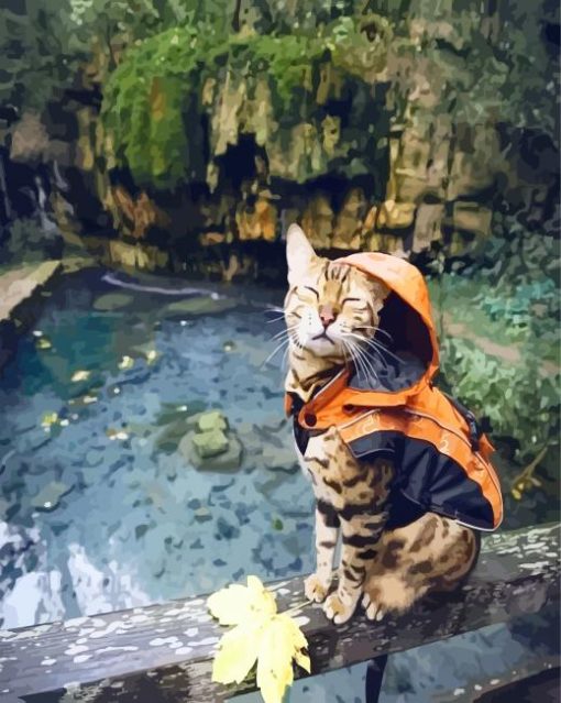 Bengal Cat with Raincoat paint by numbers