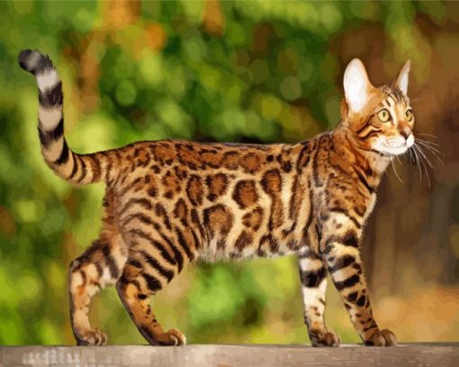 Bengal Cat paint by numbers