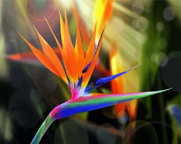 Bird Of Paradise Plant Paint By Number
