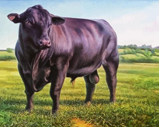 Black Angus Bull paint by numbers