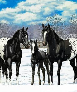 Black Appaloosa Family paint by numbers