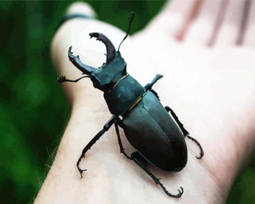 Black Beetle on Hand paint by numbers