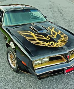 Black Classic Firebird Car Paint By Number