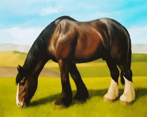 Black White Shire Horse paint by numbers